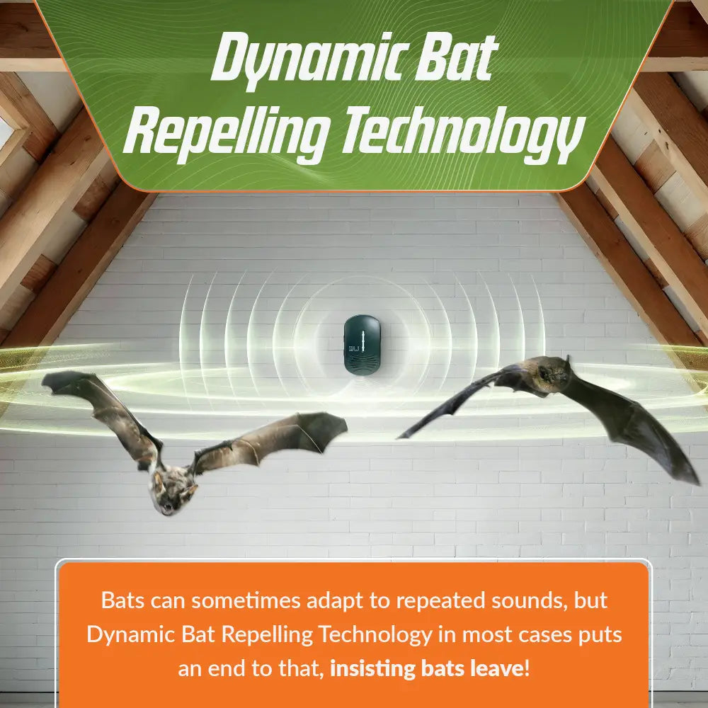 Bat Plug BEU-G Bat Expulsion Unit with Dynamic Ultrasonic Bat Repellent Technol ...